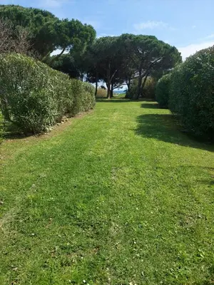 Paysage naturel près de l'appartement