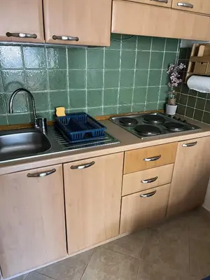 Cuisine ou kitchenette dans l'établissement Les jardins de la mer marine de Bravone