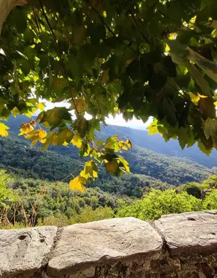 Paysage naturel près de la maison de vacances