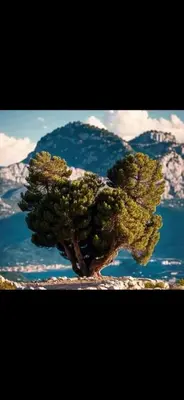 Paysage naturel près de l'appartement