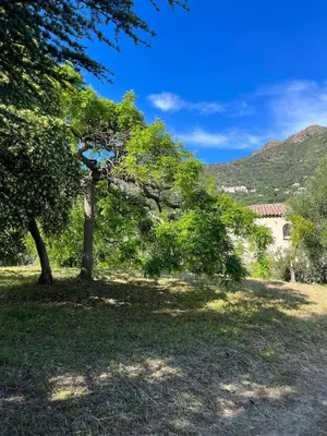 Paysage naturel près de l'appartement