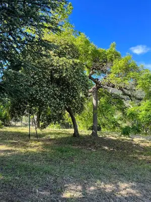 Jardin de l'établissement Bel appartement proche du centre ville