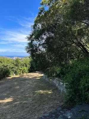 Paysage naturel près de l'appartement