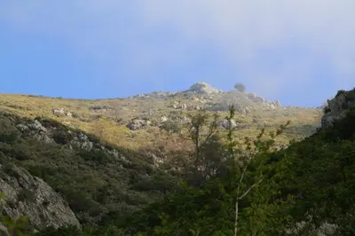 Vue générale sur la montagne ou vue sur la montagne depuis la maison de vacances