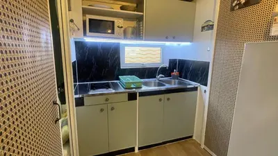 Cuisine ou kitchenette dans l'établissement Chalet climatisé en Haute-Corse 500m plage - camping Marina di Sorbo