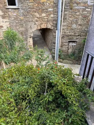 Jardin de l'établissement Joli T2 in Cap Corse