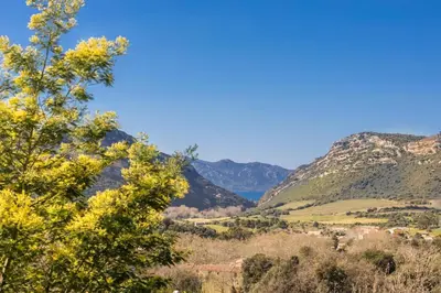 Paysage naturel près de l'appartement