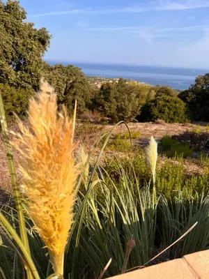 Paysage naturel près de la maison d'hôtes