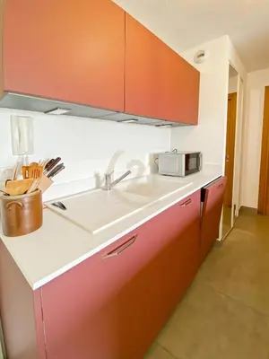 Cuisine ou kitchenette dans l'établissement Charmant T2 Ile Rousse, proche centre ville