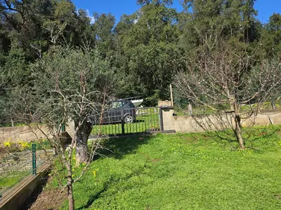 Jardin de l'établissement Maison de village