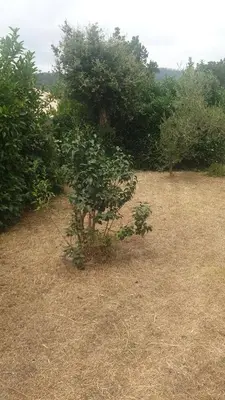 Paysage naturel près de la maison de vacances