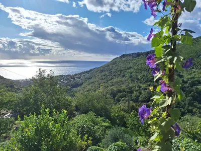 Paysage naturel près de la maison de vacances