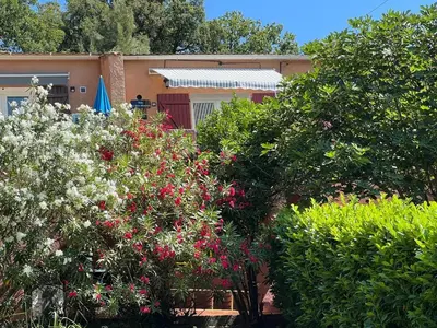 Jardin de l'établissement Le petit mauricia