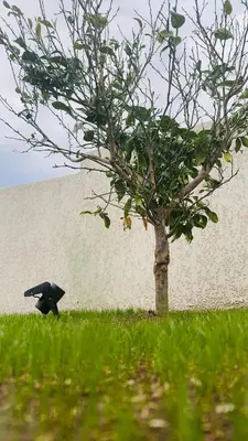 Jardin de l'établissement Maison T3 Élégante Cap Corse - Casa Sublima