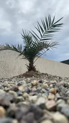 Paysage naturel près de la maison de vacances
