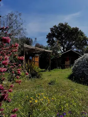 Jardin de l'établissement Le nid des crinières vagabondes