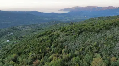 Paysage naturel près de l'appartement