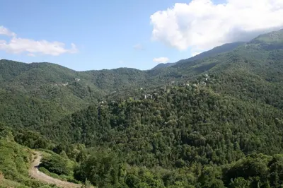 Paysage naturel près de l'hôtel