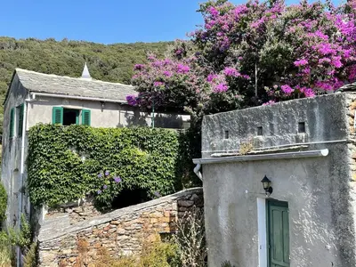 Plan de l'établissement Maison ancienne rénovée avec vue sur mer et Cap Corse