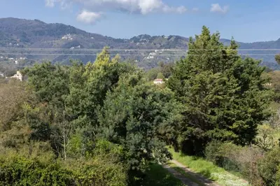Paysage naturel près de l'appartement