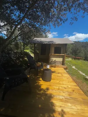 Jardin de l'établissement Camping Mercone