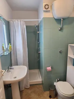 Salle de bains dans l'établissement linguizzetta , les marines de bravone