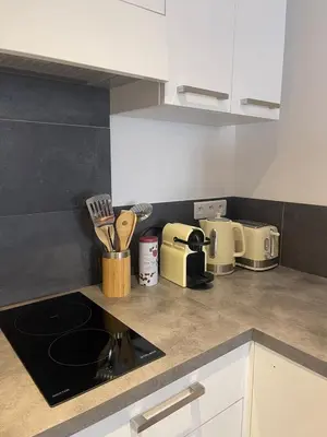 Cuisine ou kitchenette dans l'établissement Appartement vue Mer en plein centre