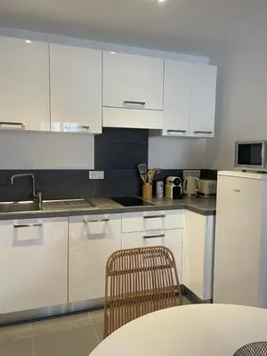 Cuisine ou kitchenette dans l'établissement Appartement vue Mer en plein centre