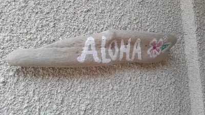 Plan de l'établissement Villa ALOHA pool-beach 500m