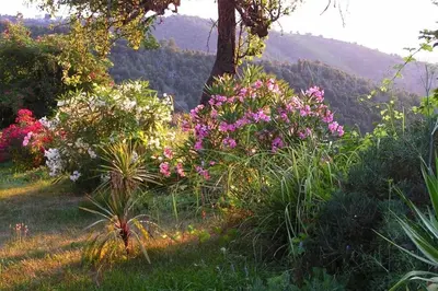 Paysage naturel près de la maison de vacances
