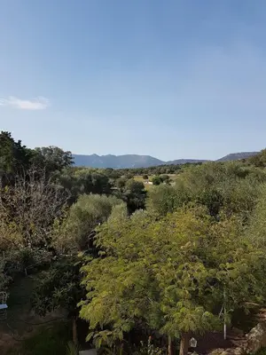 Paysage naturel près de l'appartement