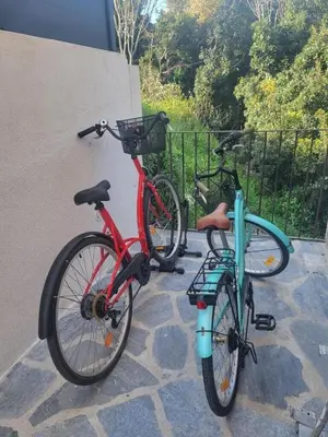 Vélo sur le terrain de l'établissement Villa Viktoriia ou dans les environs