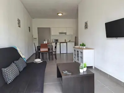 Télévision ou salle de divertissement dans l'établissement T2 Terrasse climatisé piscine à T FLORENT