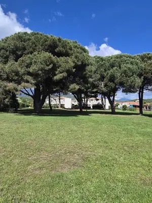 Paysage naturel près de l'appartement