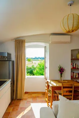 Cuisine ou kitchenette dans l'établissement U Vermentinu