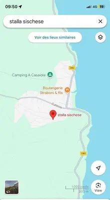 Plan de l'établissement Studio dans résidence avec piscine à Sisco