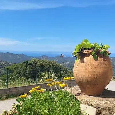 Bella vista