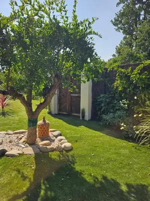 Jardin de l'établissement Le cabanon de casaOma