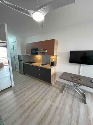 Cuisine ou kitchenette dans l'établissement Studio vue Mer 4 personnes climatisé