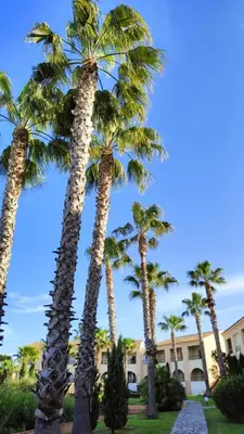 Jardin de l'établissement Appartamento climatizzato di 42 mq a Marina di Bravone a 200m dalla spiaggia
