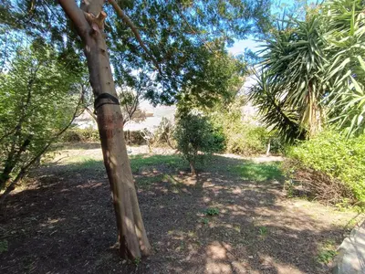 Jardin de l'établissement Casa di Ghjulia