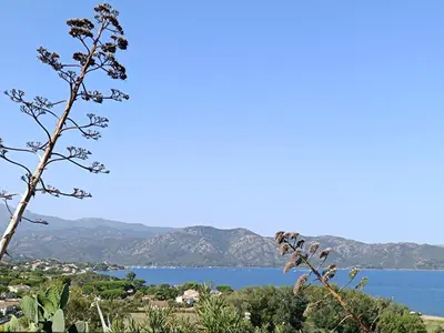 Paysage naturel près de l'appartement