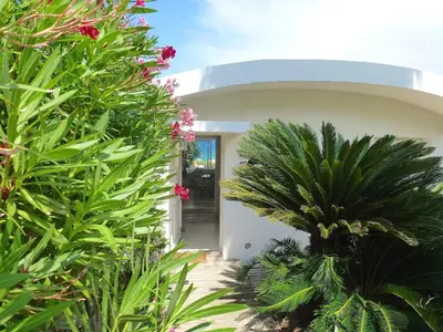 Jardin de l'établissement Sur la plage