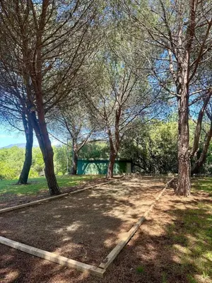 Jardin de l'établissement Cosy studio ensoleillé à Saint-Florent