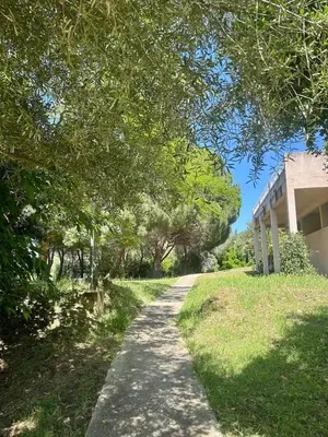 Jardin de l'établissement Cosy studio ensoleillé à Saint-Florent
