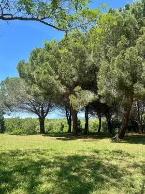 Paysage naturel près de l'appartement