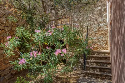Jardin de l'établissement Casa Le Fornu