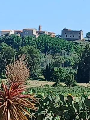 Paysage naturel près de le séjour chez l'habitant