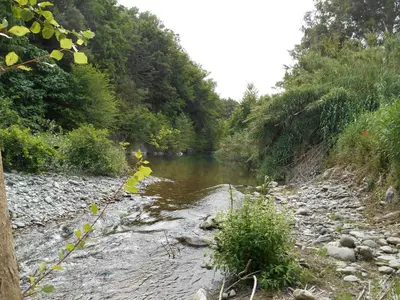 Paysage naturel près de l'appartement