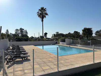 Piscine de l'établissement T2 climatisé avec piscine ou située à proximité